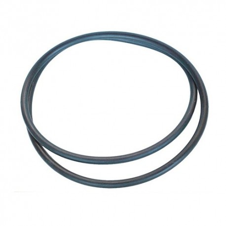 Joint o'ring tore diam 12