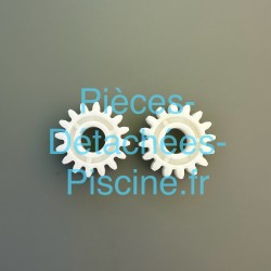 Roues dentées PM engrenage robot BWT  D, P (les 2)