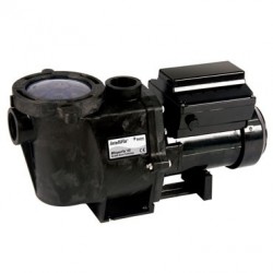 Pompe de filtration WHISPERFLO 24m3 2CV TRI