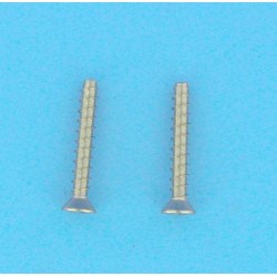 Jeu de 2 vis pour grille ancien modèle