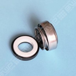 Garniture mécanique Ø15 MM de pompe Astral